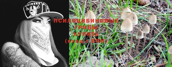 гашик Карталы