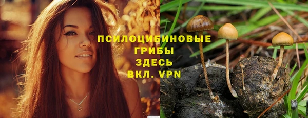 бошки Касимов