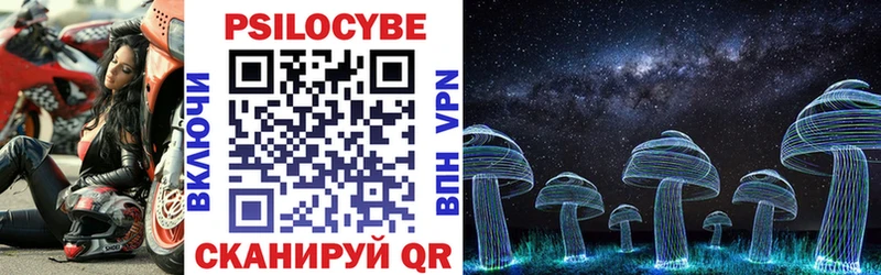 Купить  Мыски  Псилоцибиновые грибы Psilocybe 